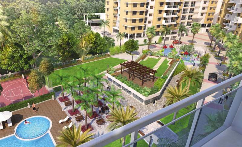  violetta Landscape Garden and Tree Planting