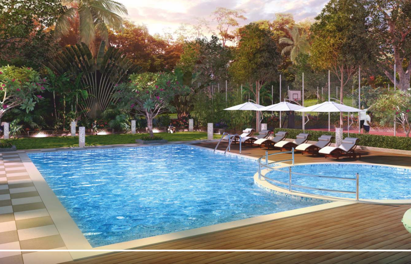  violetta Swimming Pool