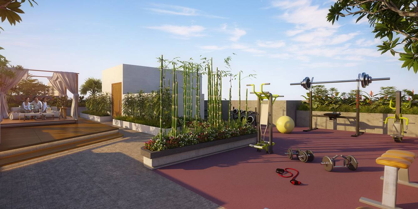  templum heights Gymnasium