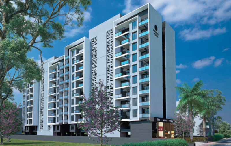  infinity pride Elevation