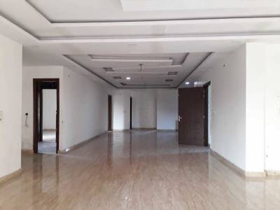  luxurious-floor Others