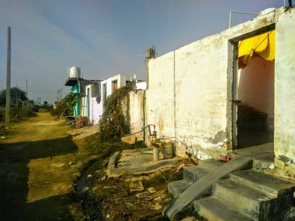 Images for mainOther