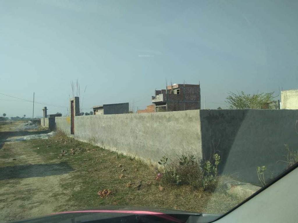 Images for mainOther