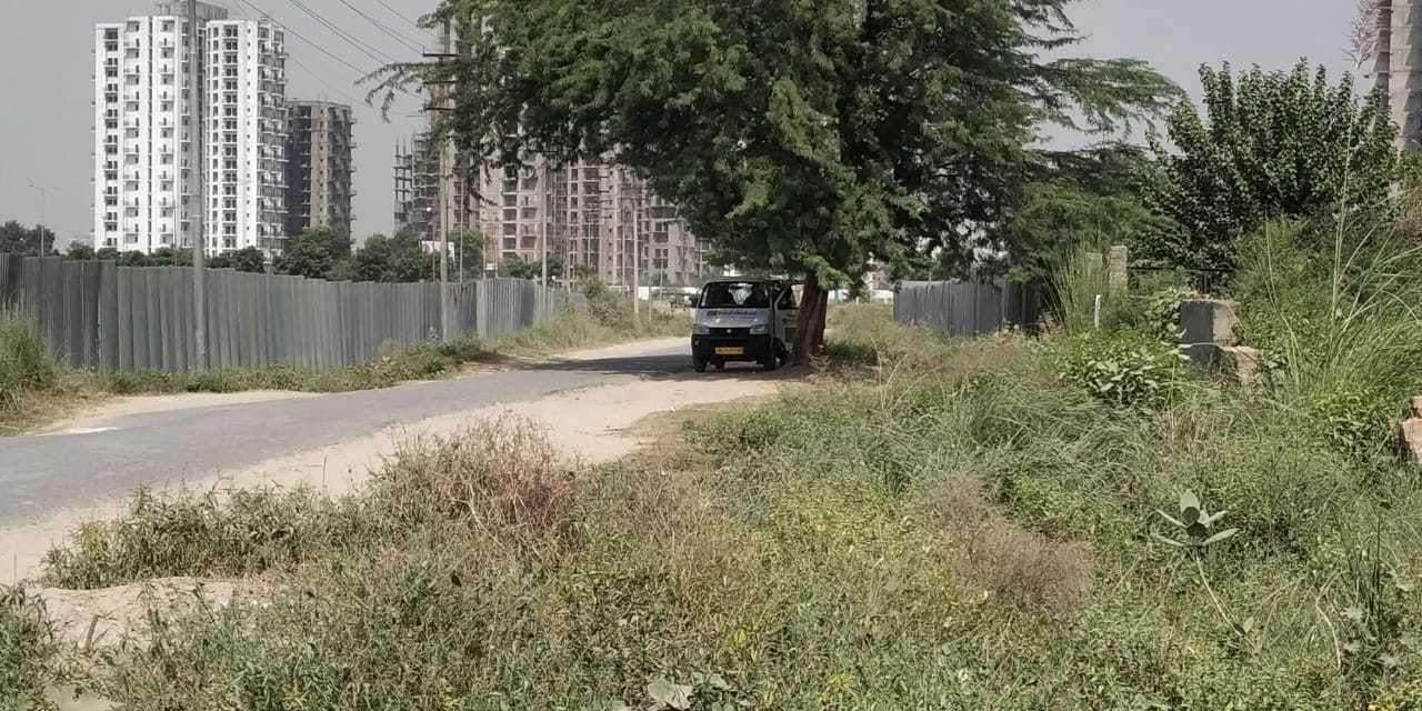 Images for mainOther