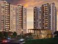 Manav Groups Pune Wildwoods Phase 1