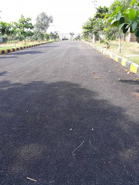 Images for mainOther