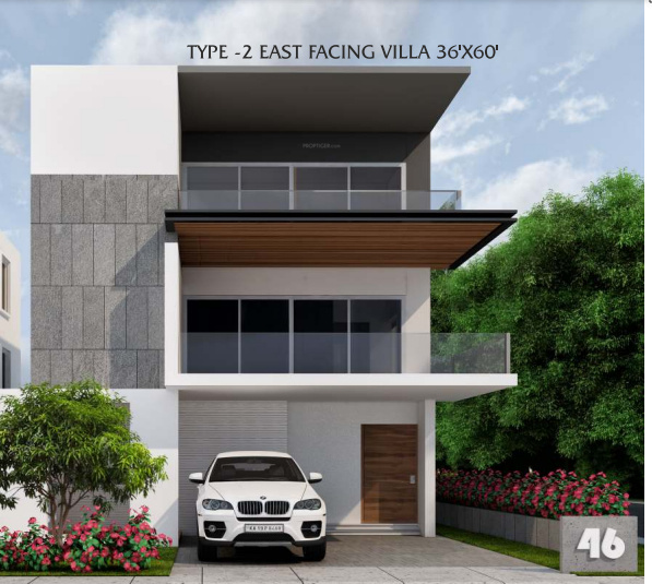  mango leaf Elevation