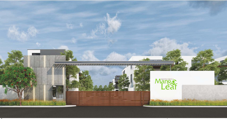  mango leaf ext Elevation