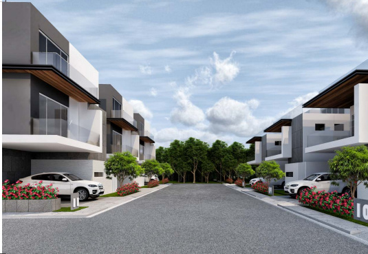  mango leaf ext Elevation