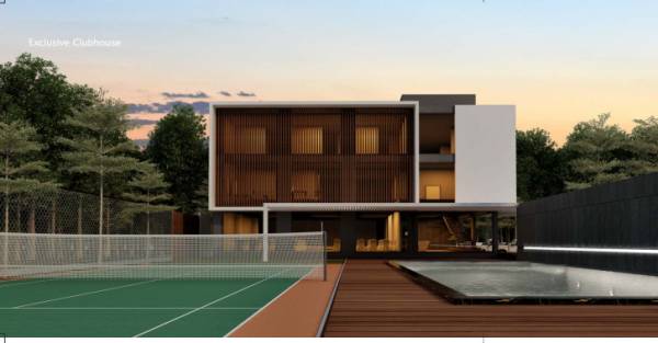  mango-leaf-ext Others