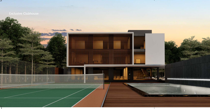  mango leaf ext Others