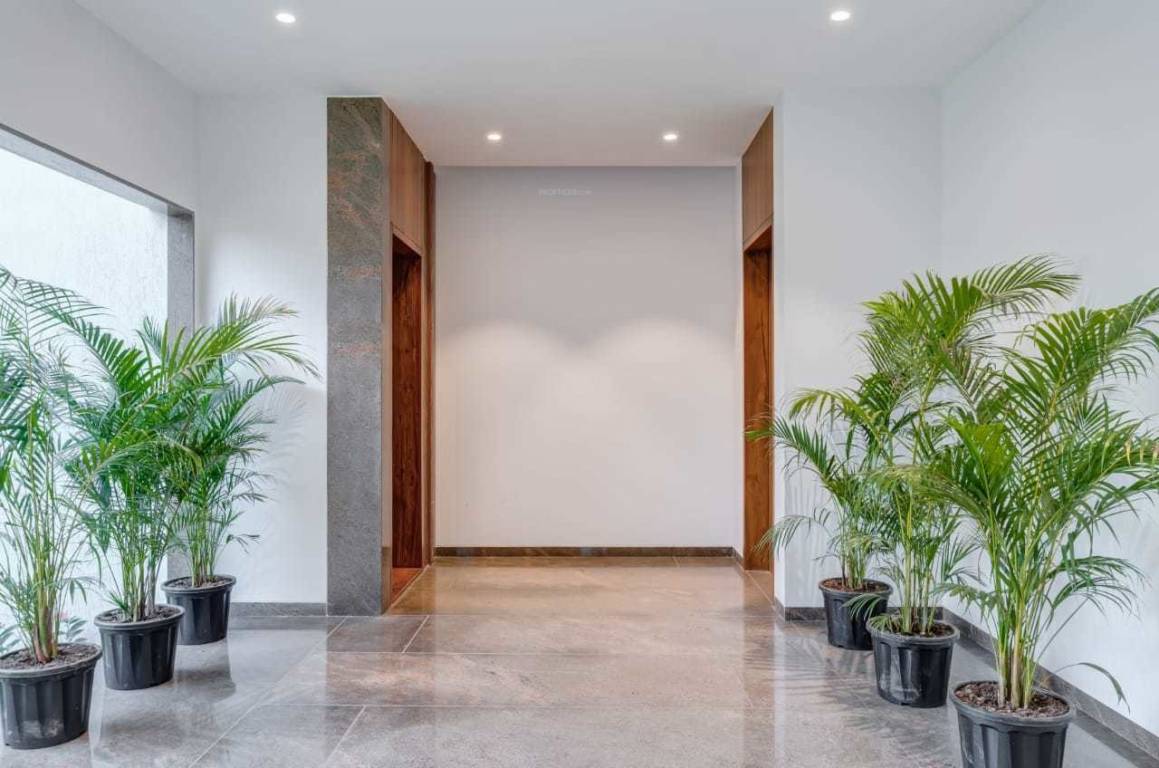  florenza Lift Available