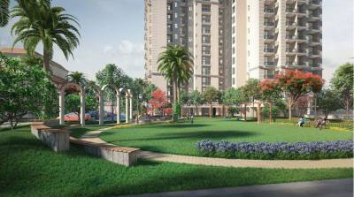  oro-elements Landscaped Gardens