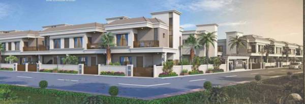  silver-palm Elevation