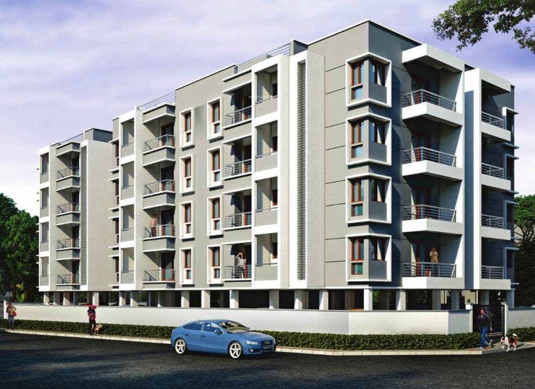  euphorbia phase v Elevation