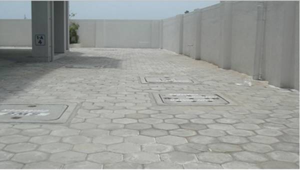 Paved Compound euphorbia-phase-v Paved Compound