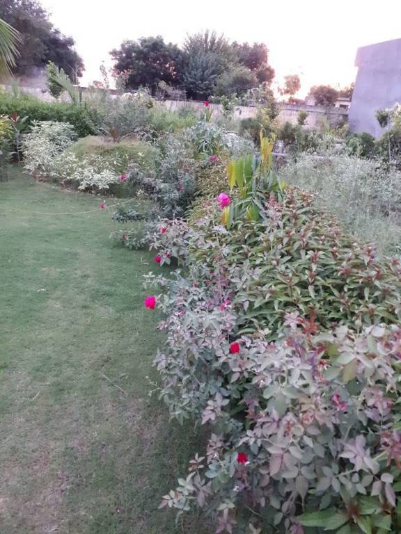 Images for Amenities of Lucky Palm Green Villas