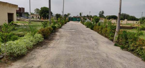 Images for Amenities of Lucky Palm Green Villas