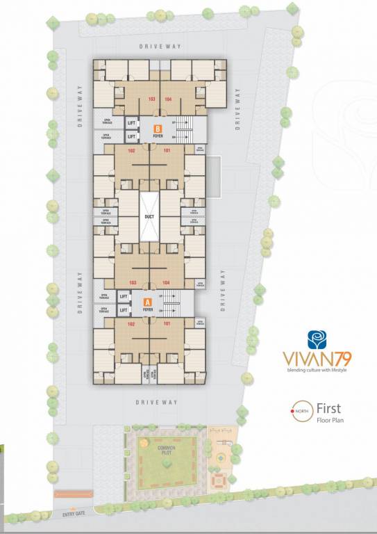 vivan 79 Cluster Plan