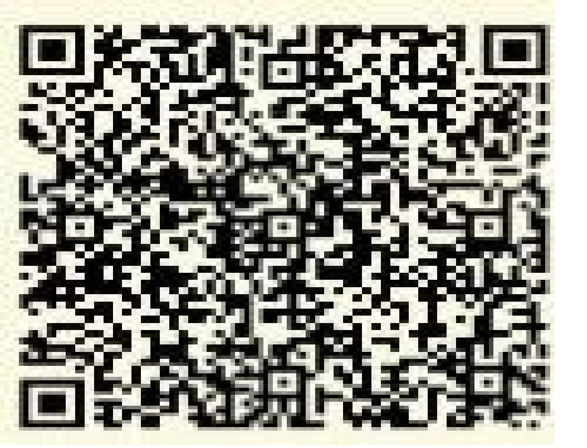 QR Image