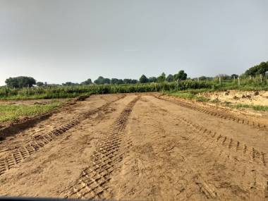 Elevation rewari-greens Elevation