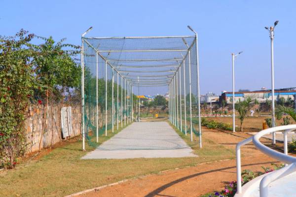 Cricket arena springwoods-city Cricket arena
