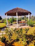 Gazebo springwoods-city Gazebo