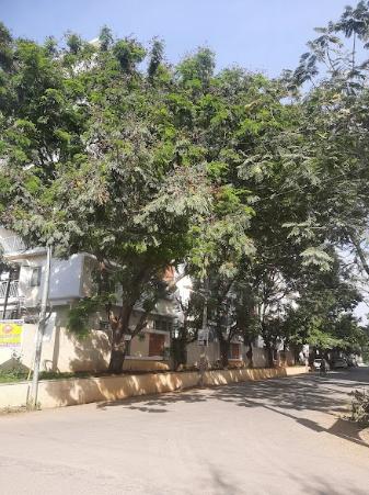  art-of-living Others