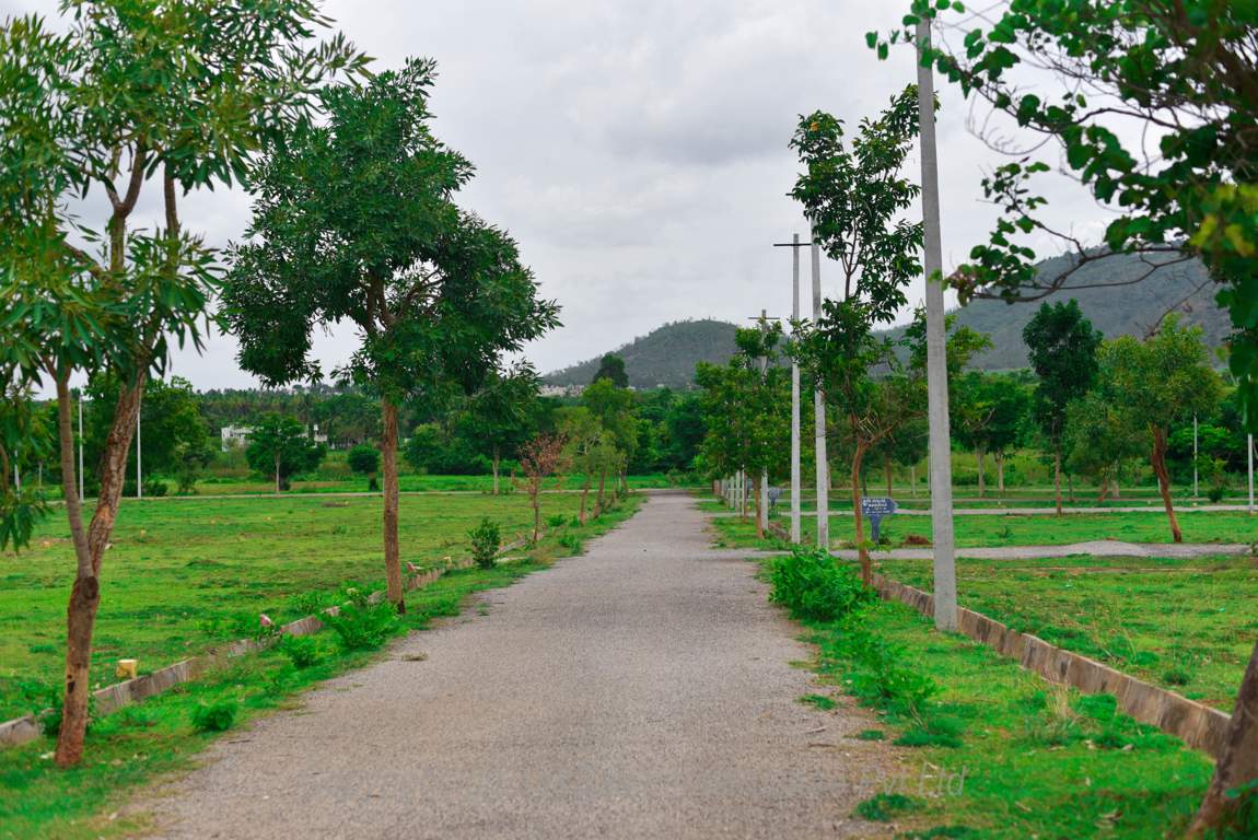  shreesha hill view layout phase 3 Elevation