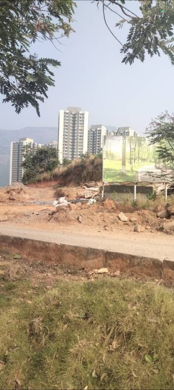  magnolia cluster 2 Construction Status Feb 25