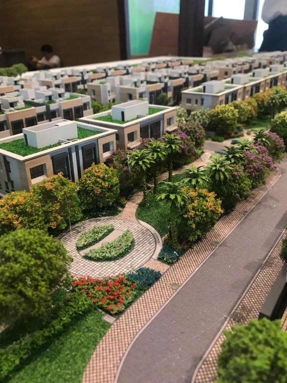  magnolia cluster 1 Elevation