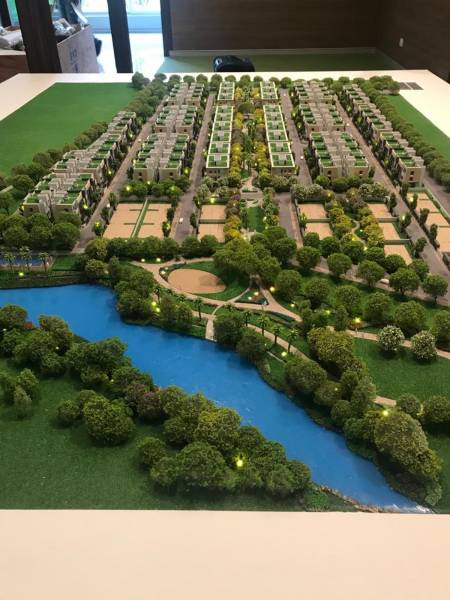  magnolia-cluster-1 Elevation