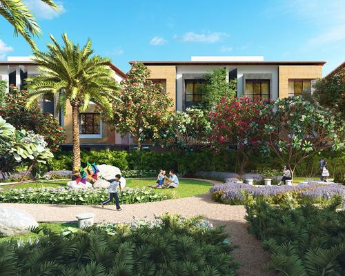  magnolia-cluster-1 Landscape Garden and Tree Planting