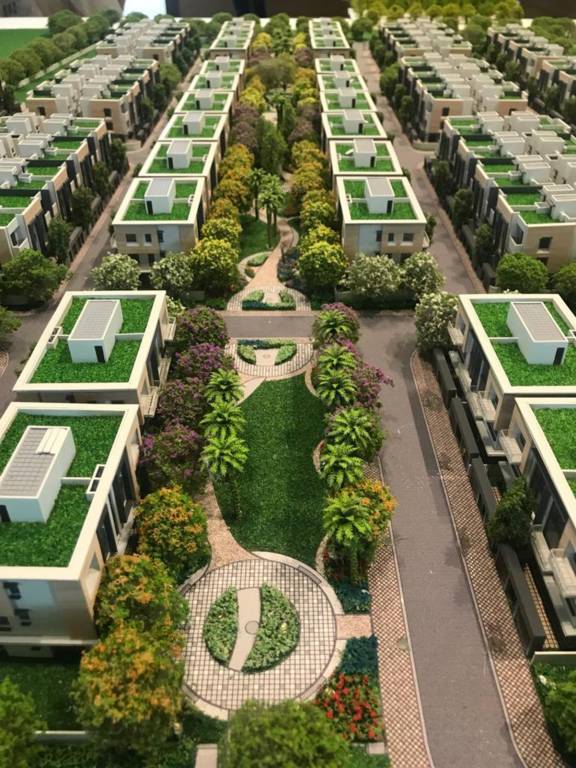  magnolia cluster 3 Elevation