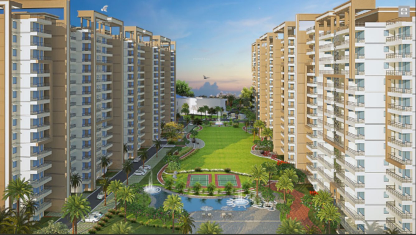 silver springs Elevation