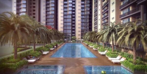  east-county Swimming Pool