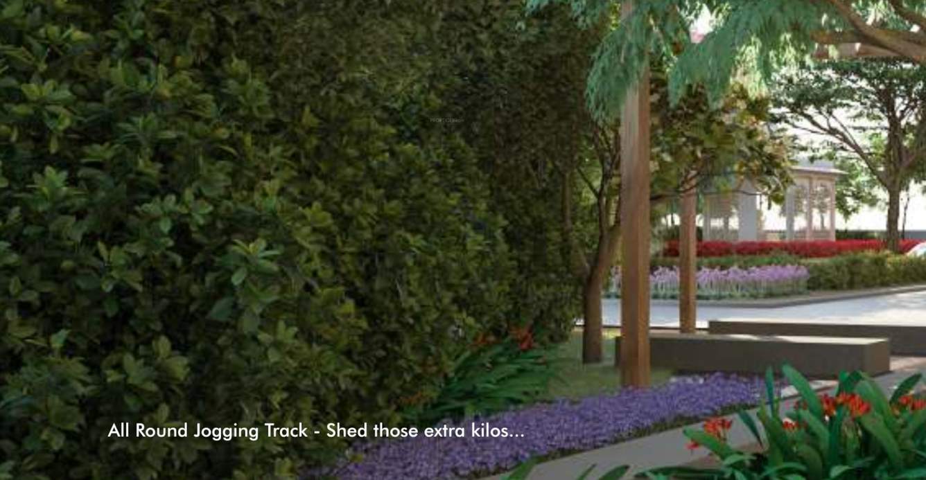  park Landscape Garden and Tree Planting