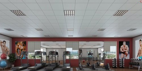  city-phase-ii Gymnasium