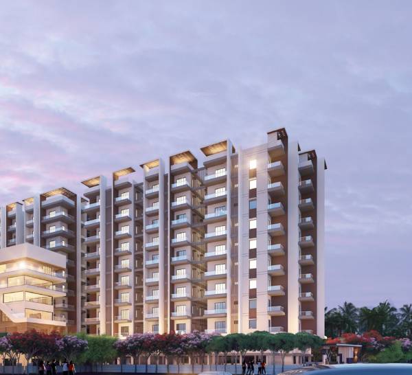 Images for Project Images for Project