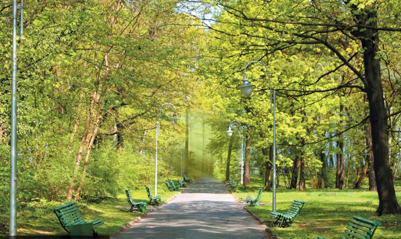 Images for amenities