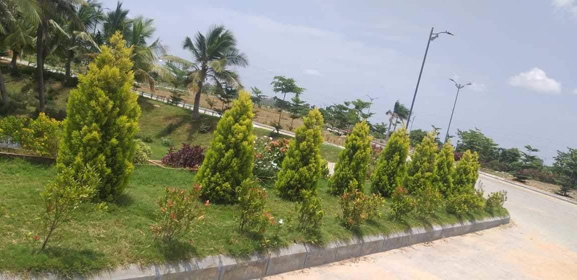  e emerald Plot