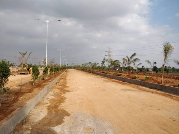  sparrows Internal Roads