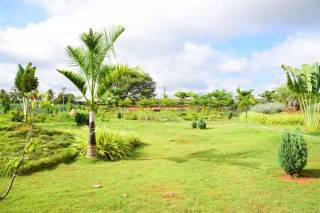 Project Image Project Image