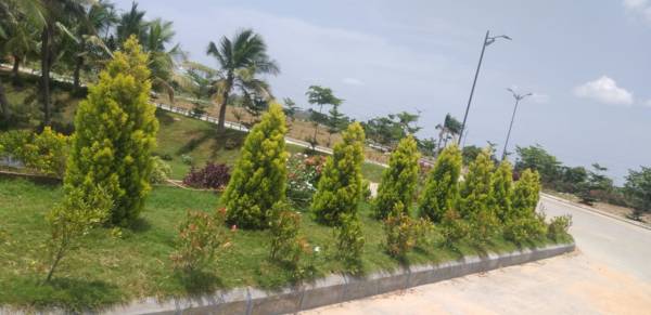  brundhavan-colony Others