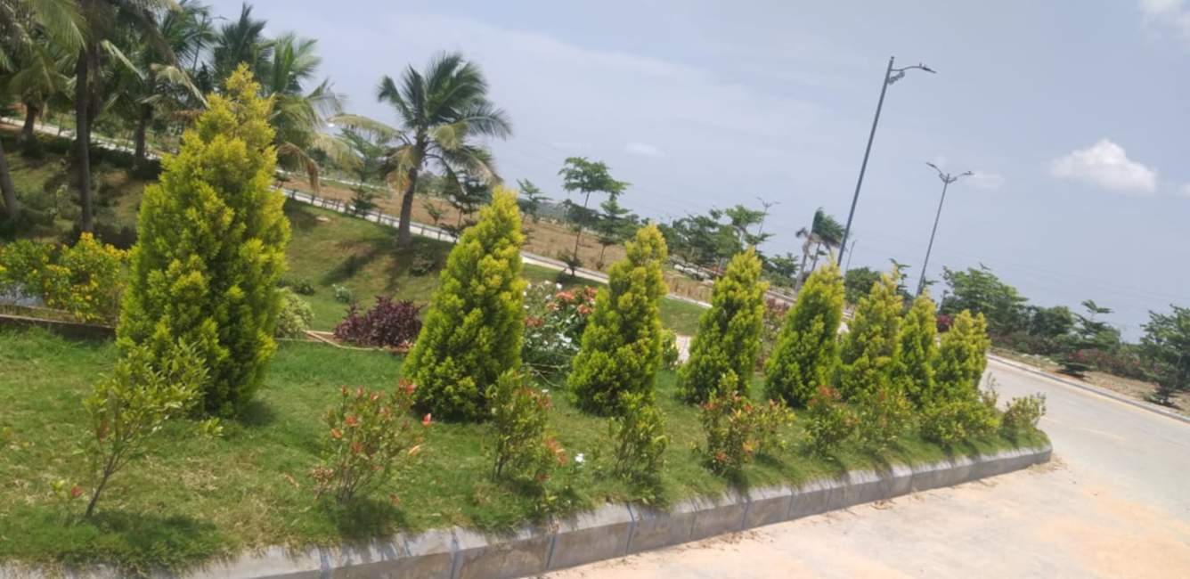  brundhavan colony Others