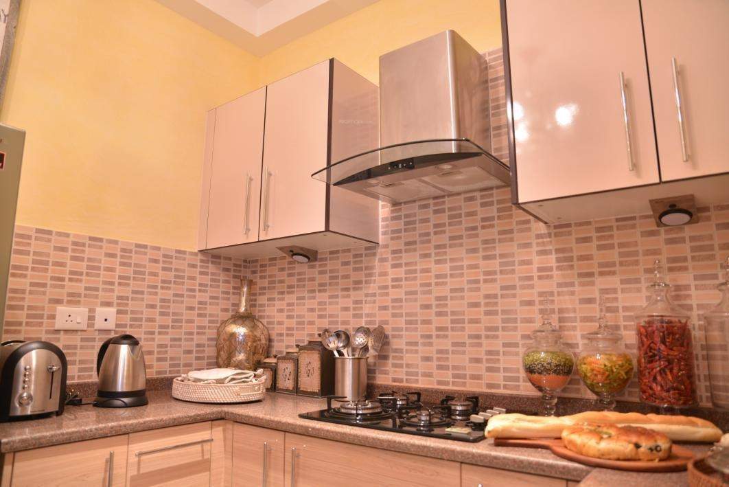 Images for mainOther