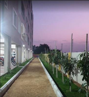  platinum-valley Others