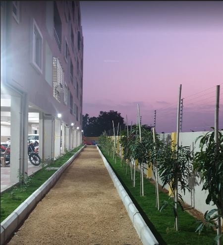  platinum valley Others