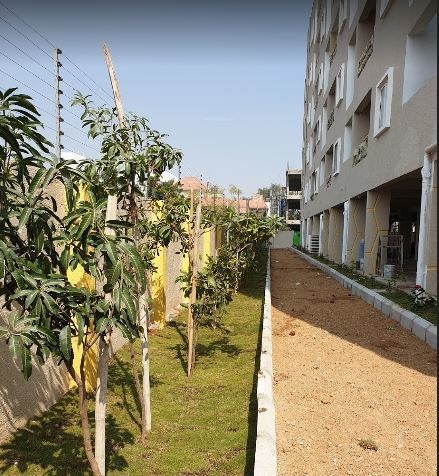  platinum-valley Others