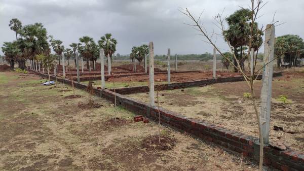 Images for mainOther